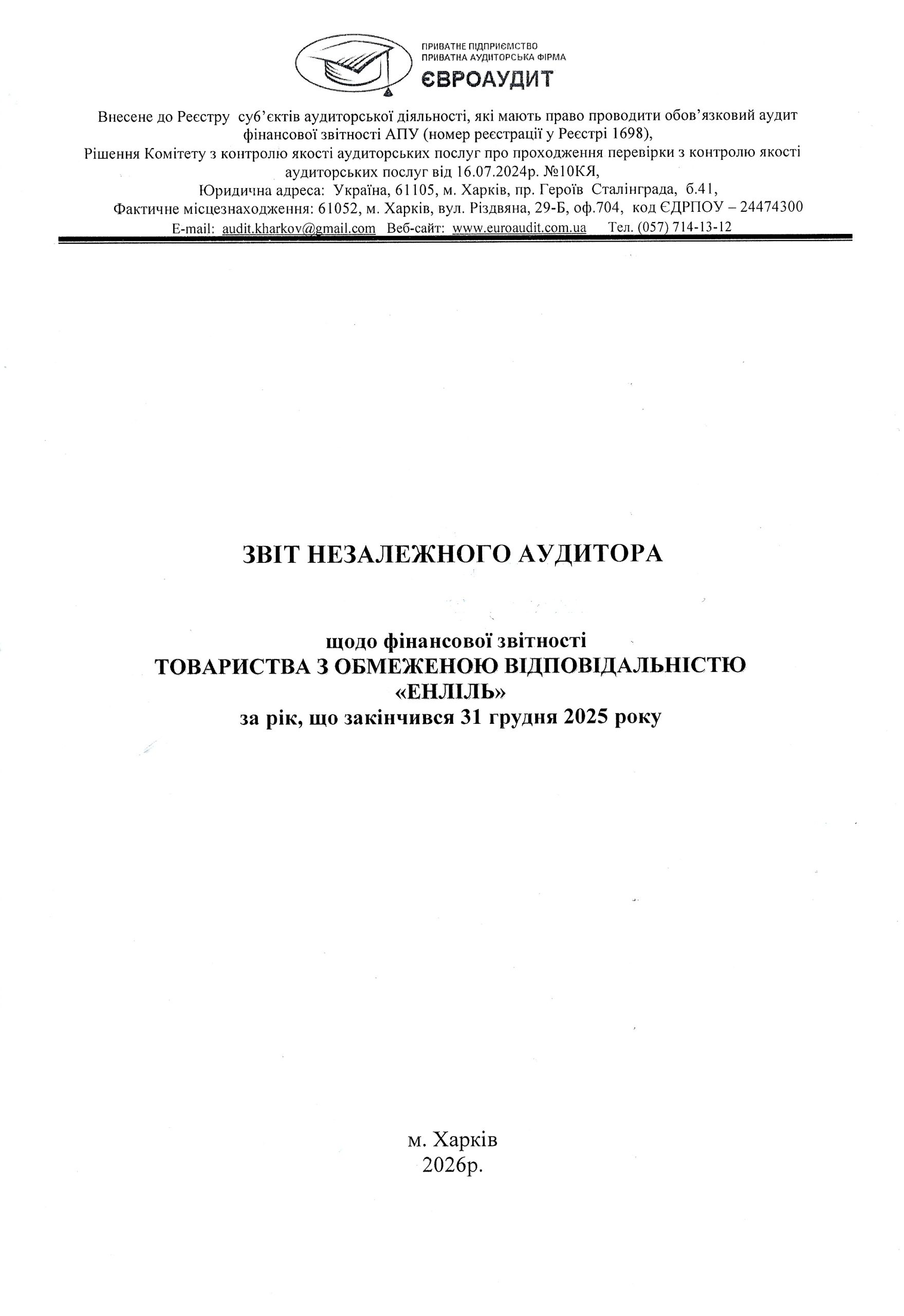 Audit report (2025 year)